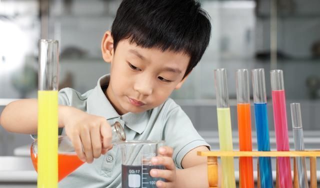  提高|暑假到了，阅读哪些课外书可以提高写作能力？