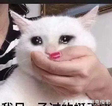 超市|“重庆人的消费观”上热搜!每一条都真实到扎心!