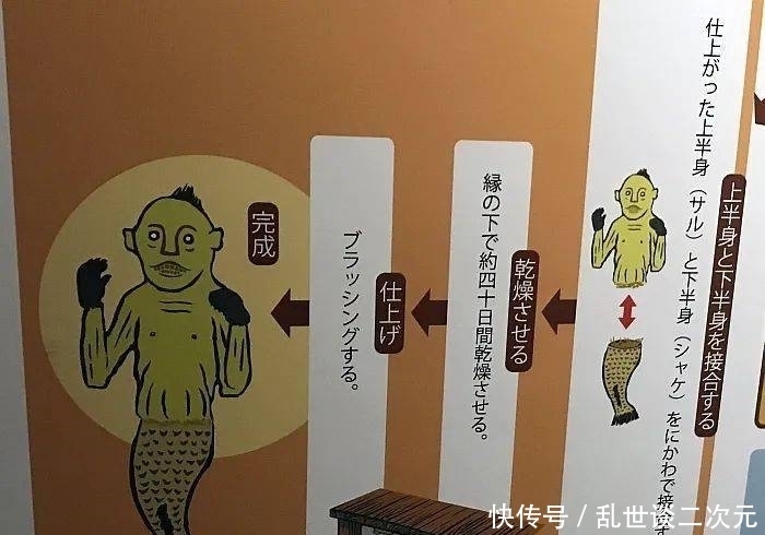 美人鱼|日本恐怖美人鱼