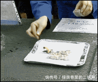 氧化|17个隐藏在生活中的魔幻化学反应