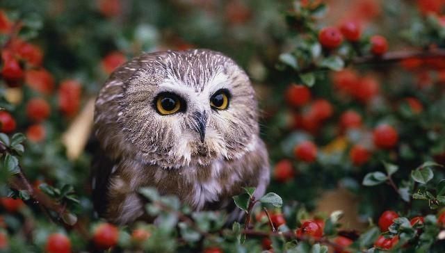  句句|最值得收藏的经典语录，句句深入人心，说出了你的心声