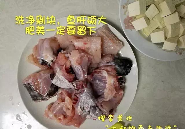 味道|鮟鱇鱼炖豆腐,鲜美的味道,但是你知道鮟鱇鱼啥样吗?