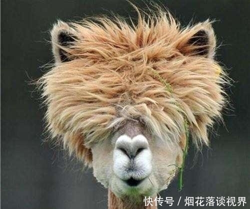 开心|开心一刻:遇到个来租房的小姑娘,砍了半天价,最后押金也不够