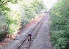 搞笑|搞笑GIF：和死神赛跑的人，这个必须要点赞！