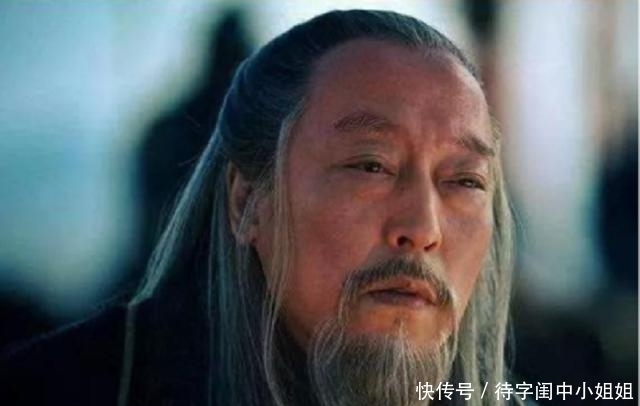 蜀国|司马懿的关门弟子，蜀国因他而灭亡，姜维也不能与其争锋