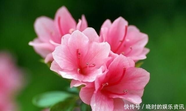 择一人深爱,等一人终老|诗词 | 深爱