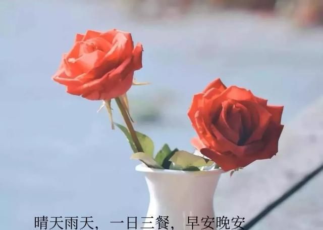 美好|余生珍惜时光的美好句子,简单干净,人见人爱