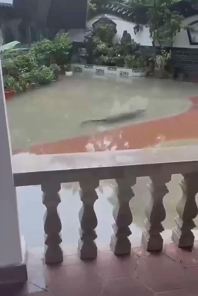 t01927d92b7a3a9c380.jpg?size=640x956