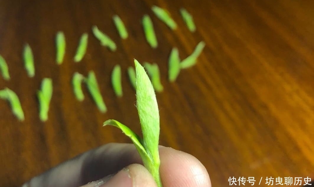 喝茶|为何说喝茶能陶冶情操?