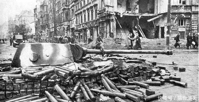 大型|大型战役后，数以万计的士兵遗体怎么处理德军最残忍也最实际！