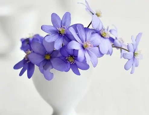  尺度|人生的价值，即以其人对于当代所做的工作为尺度