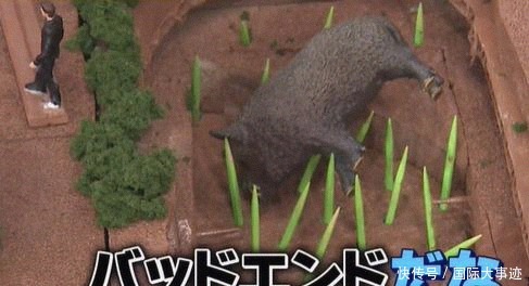 离家出走|被父母家暴后,13岁男孩离家出走到深山,一呆就是43年