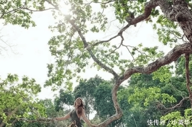 摄影|摄影:树上的风景比不上树下的风景