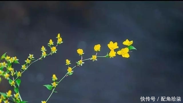 祖先|清明为什么要祭祖?这是我听过最好的答案