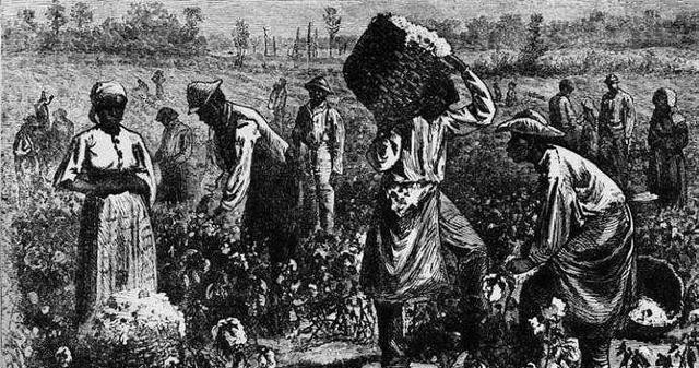 美国黑人|那些受尽欺负的美国黑人,早就跑回非洲建国了