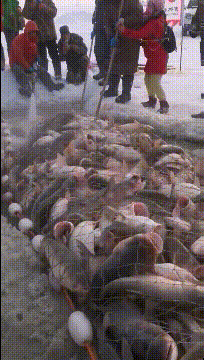 GIF|搞笑GIF:真的搞不懂这种操作是为了什么,为了开快点?还是帅?