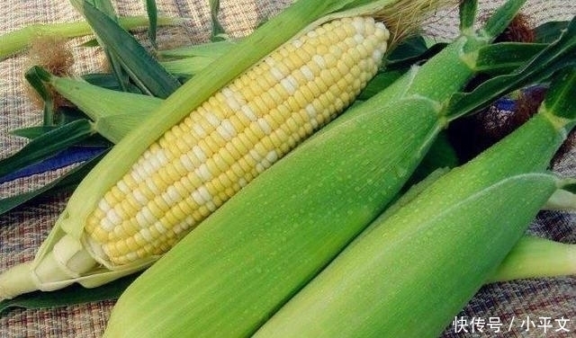 抓紧|爱吃玉米的要留意了,我也是今天才知道,抓紧告诉身边的人