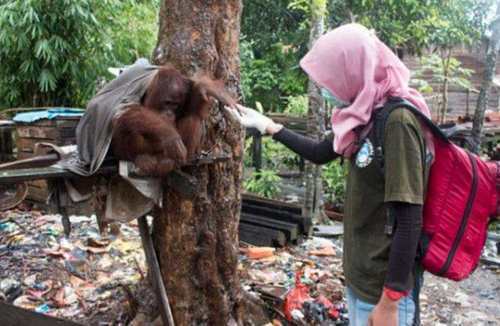 肿瘤|农村女子山里发现一长着“大肿瘤”还会动的树,上前查看双眼呆了