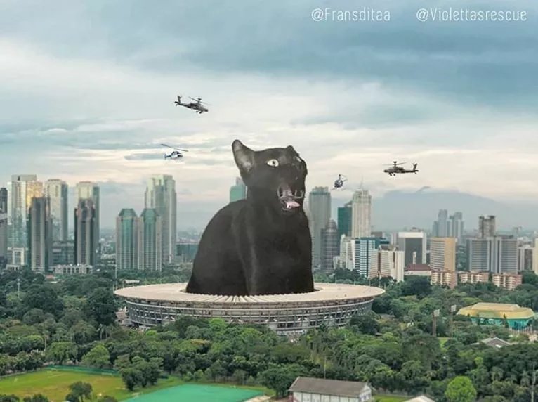  哥斯拉|要是小猫咪突然变成了庞然大物，这个世界会是什么样的