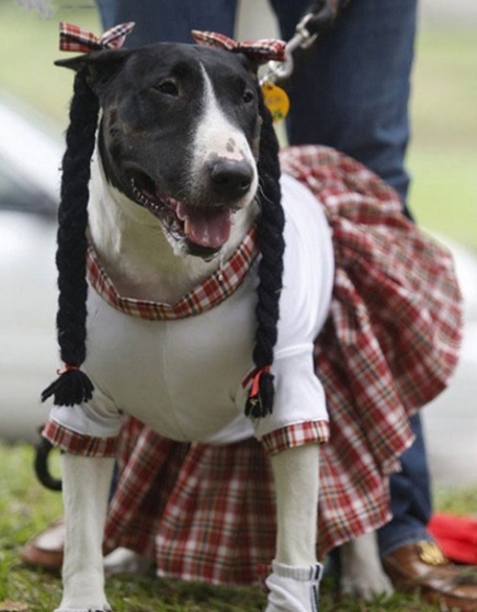 男人|爆笑段子:有一天喝多了,看到身边一个男人抽烟弹烟