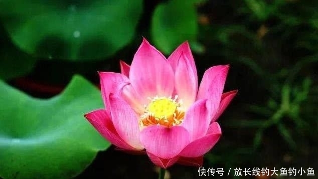  顺风|8月开始事业顺风，穷运到头，名利双收的四大生肖