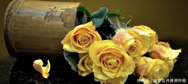 句子|珍藏许久对现实的引用,经典的句子,让你了解了很多真理