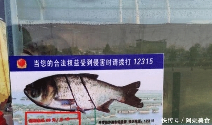 不甘|一盘剁椒鱼头要588?顾客不甘被“坑”怒而曝光店铺,遭网友群讽