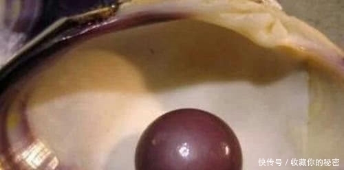 吐出来|女子喝海鲜汤时差点卡到喉咙,吐出来后一看,顿时饭都顾不上吃了