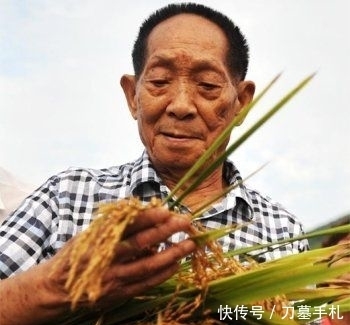 袁隆平|袁隆平和邓则结婚,两个人开始过日子,为何袁隆平要给妻子改名
