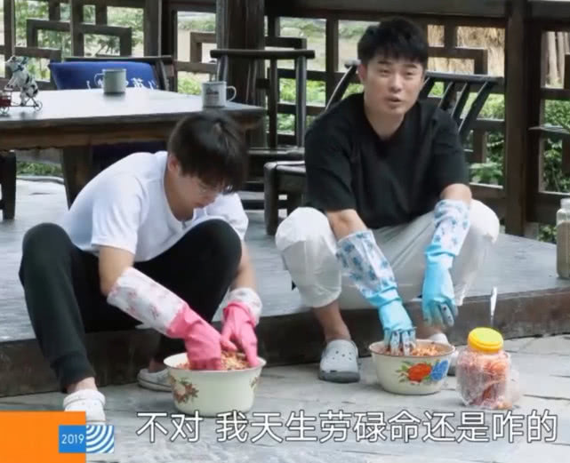  黄磊|《向往3》首次迎来黄磊接班人，看他的表现，导演后悔没早请他来