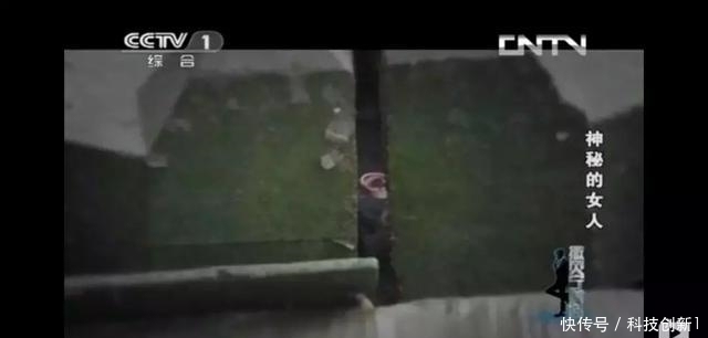 公路|环海公路男尸案