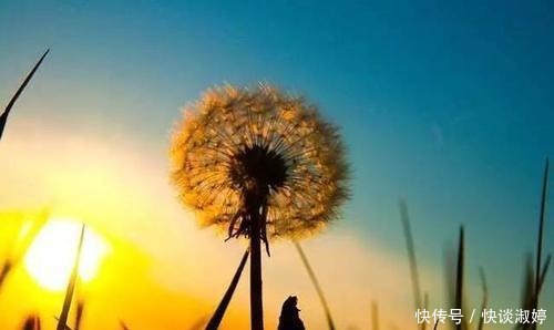 阳光|你曾给我的世界,带来阳光般的温暖