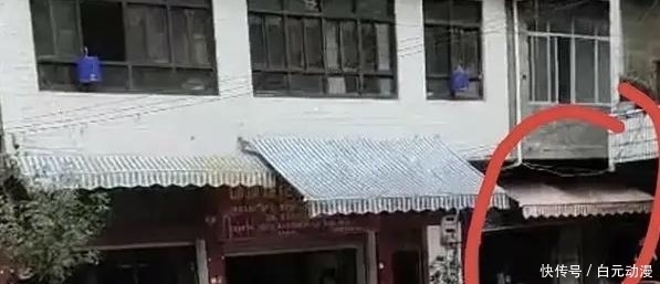 被害|目睹父亲被害,凶手逃之夭夭,9岁男孩追凶17年