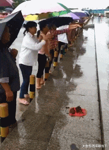 像是|搞笑GIF：感觉自己以前玩的掷瓦片就像是新手上路一样……