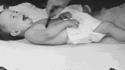 人类|黑猩猩与人类婴儿一同长大,以为自己是人类,后来变成什么样了