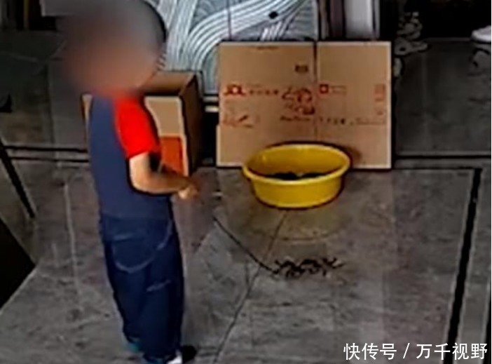 网购|男子买到死蟹向电商平台讨说法，客服道歉还赔偿 孩子：我干的