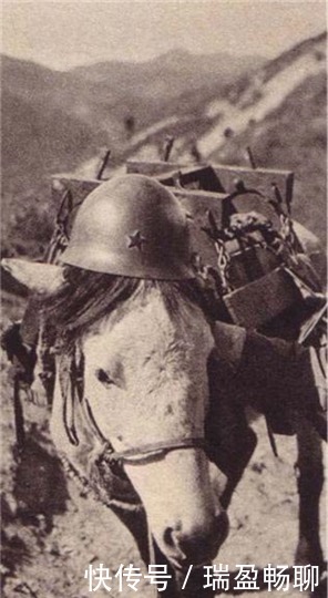 无人性|侵华战争中的日军为何特别凶残无人性?冈村宁次告诉你