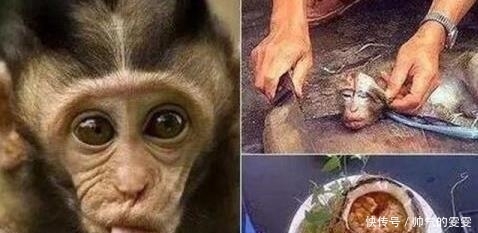 发明|中华历史上最残忍的三道菜, 你们敢吃嘛?