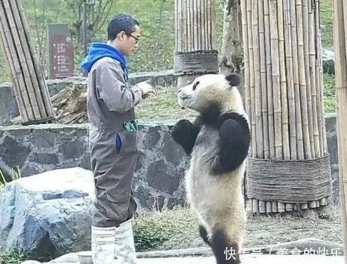 凌晨|“女朋友和男闺蜜出去聚会了,凌晨回来还给我带了烧烤”,心太大了吧,哈哈哈哈哈