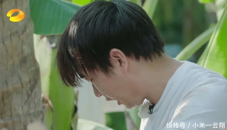 椰子树|彭昱畅爬完椰子树后,那把刀取下来没有?《向往的生活》导演回应了
