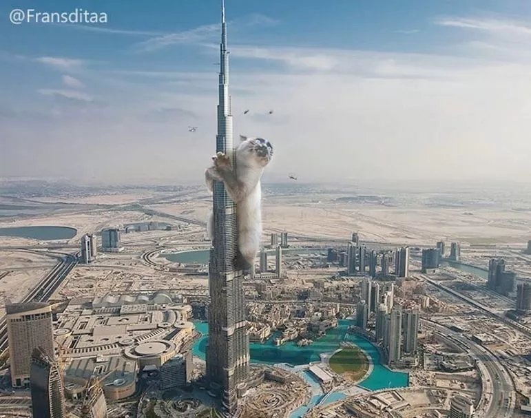  哥斯拉|要是小猫咪突然变成了庞然大物，这个世界会是什么样的