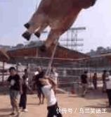 看着|cos没有错,只是这白布看着有点丧啊