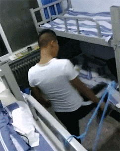 围住|搞笑GIF：带柴犬出门结果被一群妹子围住了
