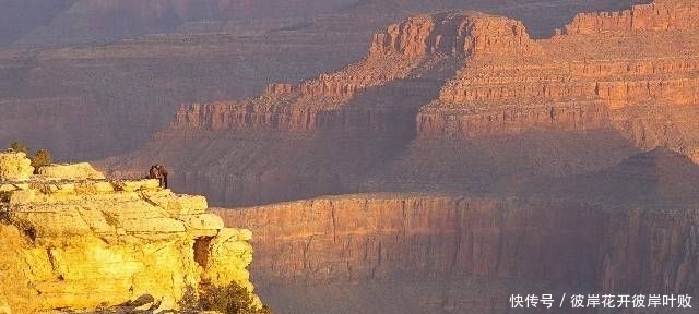 句子|珍藏许久对现实的引用,经典的句子,让你了解了很多真理