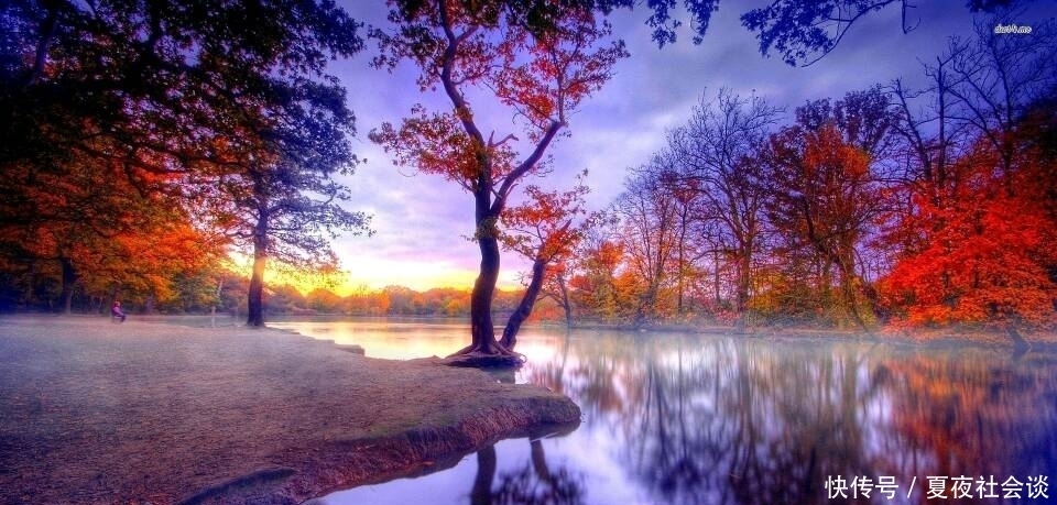 短短|韦应物最经典的一首山水诗,短短28字,也是他一生沉浮的结晶