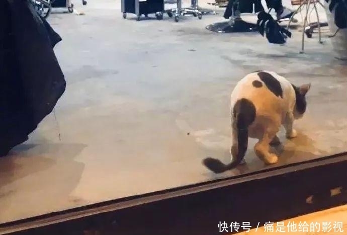 马赛克|“男朋友送我的马赛克浴巾? 哈哈哈哈这谁顶得住啊......”