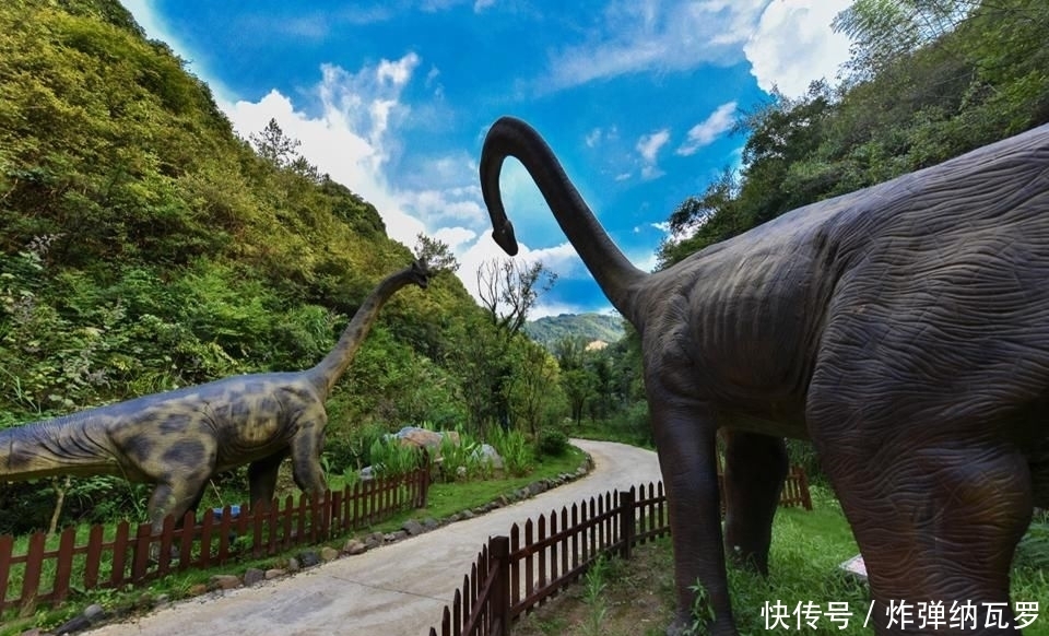  青山|青山环绕，清池密布，空气清新