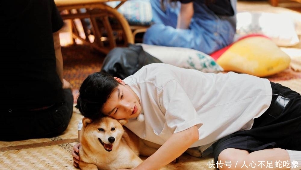 黄磊老师|《向往的生活》因许光汉发声,好友团聚场面为何只剩“尬聊”?