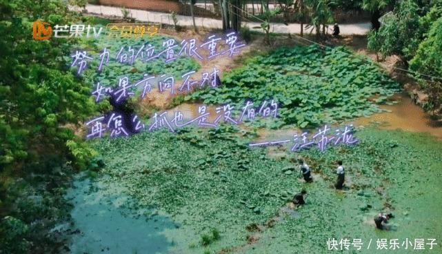 播片|《向往的生活》未播片段长达一小时,宋威龙摸河蚌,汪苏泷又偷懒