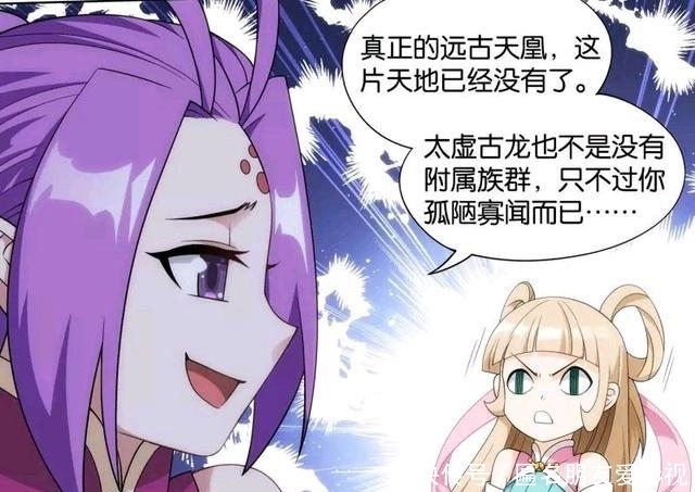 争论不休|萧炎众人去兽域,两萝莉争论不休,紫妍与青鸾一个比一个八卦